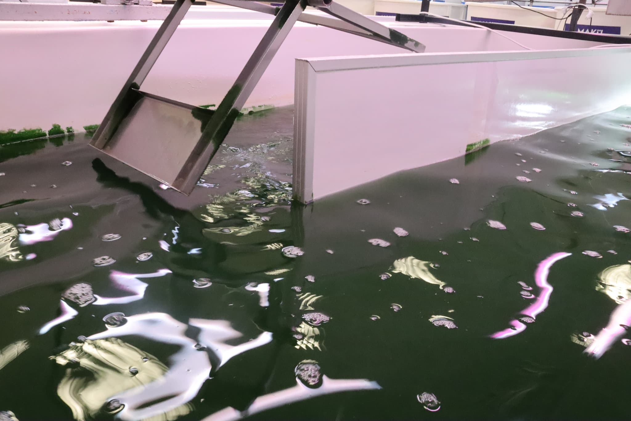 Lab 3